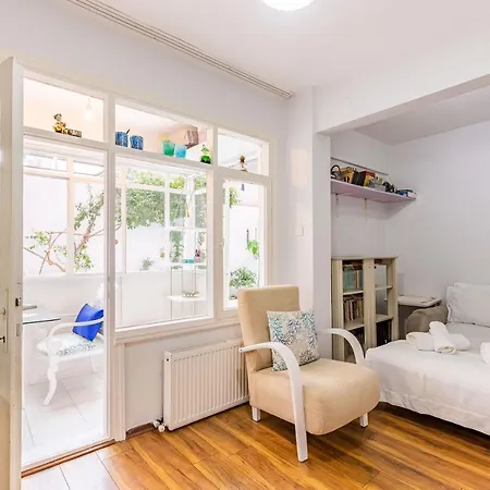 公寓 Refreshing Home With Backyard Near Uskudar Shore And Historical Landmarks