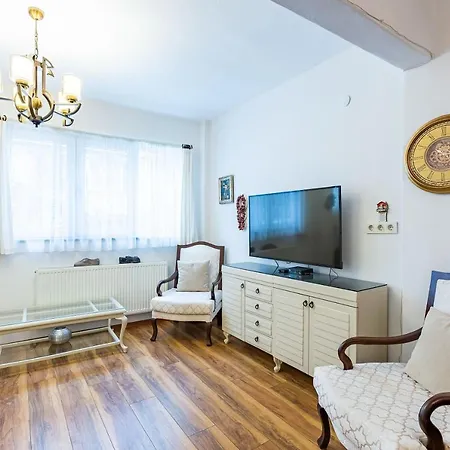 Refreshing Home With Backyard Near Uskudar Shore And Historical Landmarks 伊斯坦布尔
